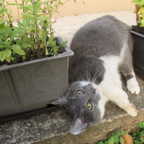 Photo #5152216
