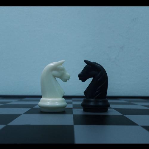 Fight for Peace