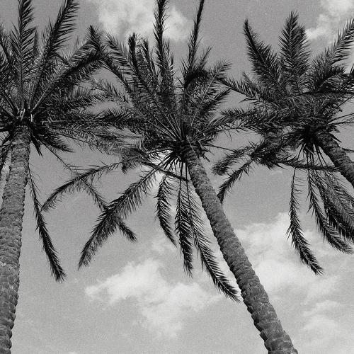 Photo #5153114