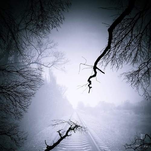 Photo #5153437