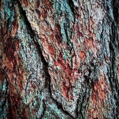 Photo #5153891