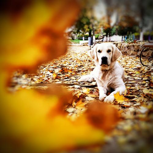 Photo #5154477