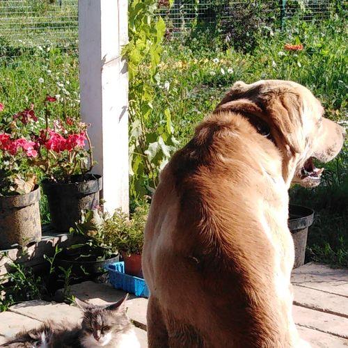 Photo #5154775