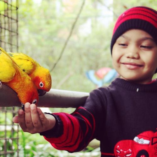 Photo #5154913