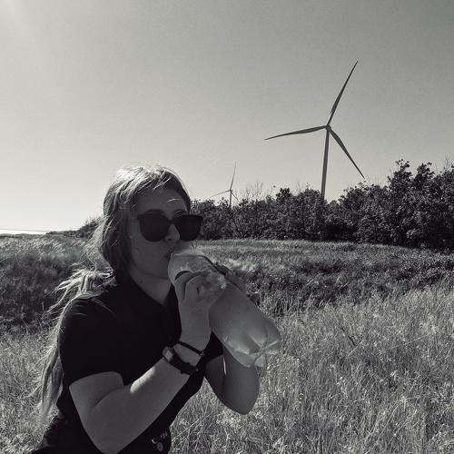 Photo #5155803
