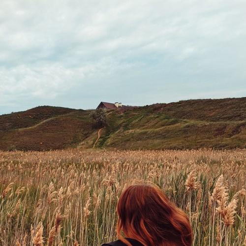 Photo #5155808