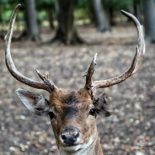 Photo #5156022
