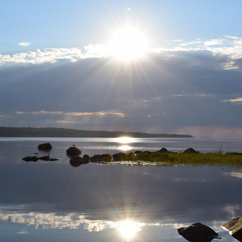 Photo #5156176