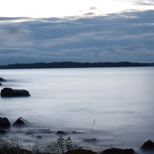Photo #5156182