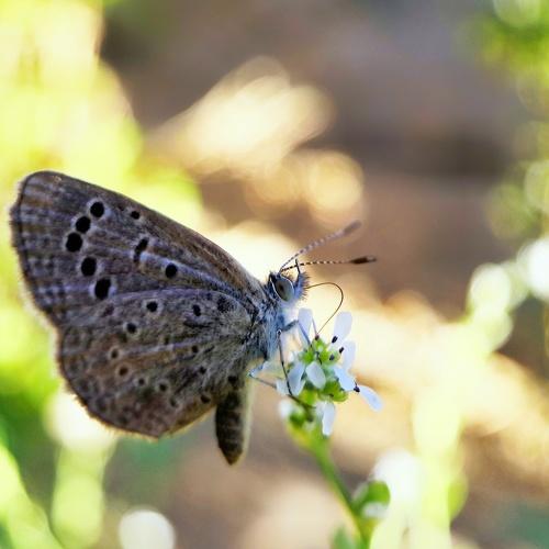 Photo #5156184