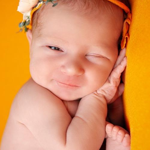 Photo #5156234