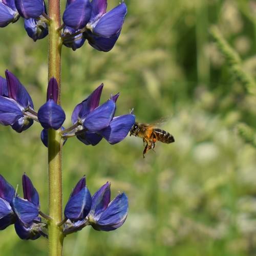 Photo #5156346