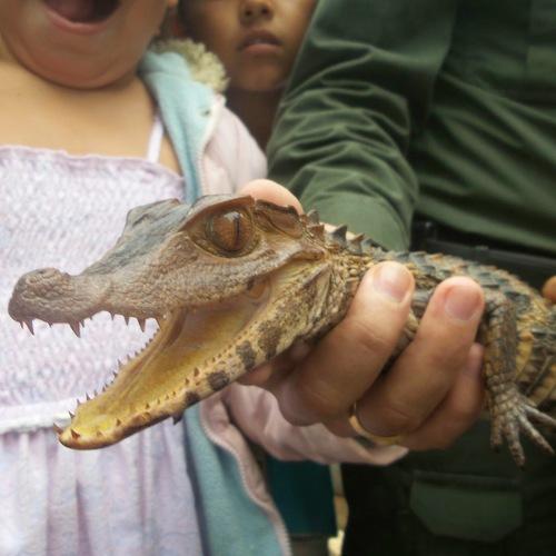 Photo #5156501