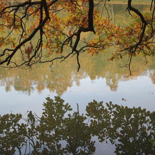 Photo #5156520