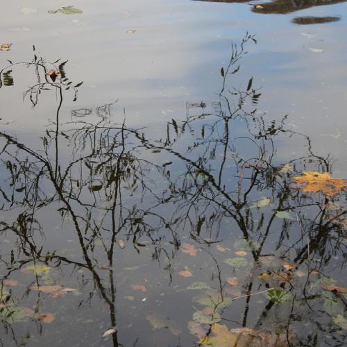 Photo #5156547