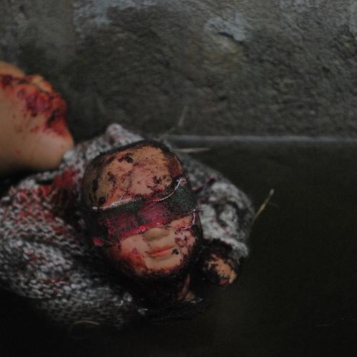 Photo #5156600