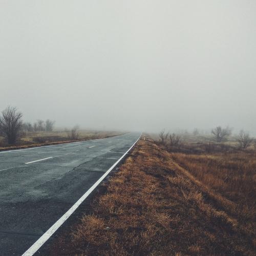 Photo #5156776