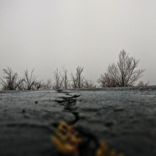 Photo #5156781