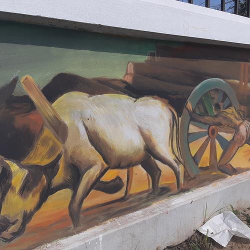 Photo #5157057