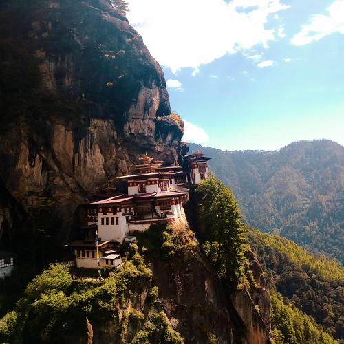 Photo #5157663