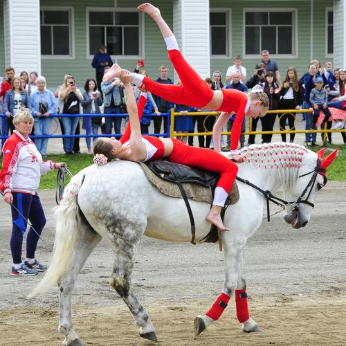Photo #5157709