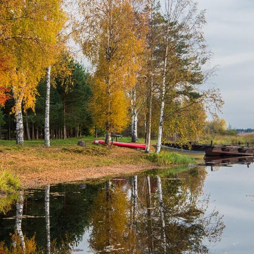 Photo #5158037