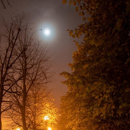 Photo #5158234
