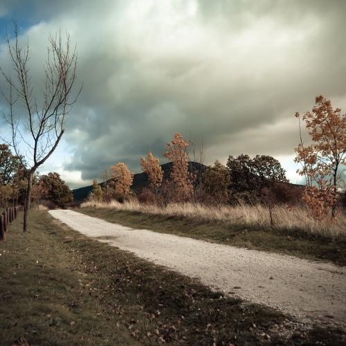 Paseando a través de un sueño