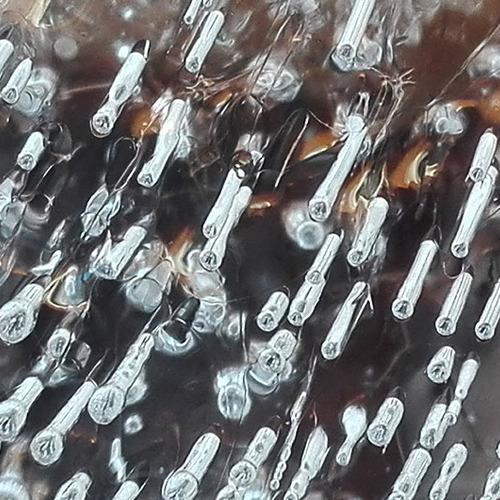 Photo #5158944