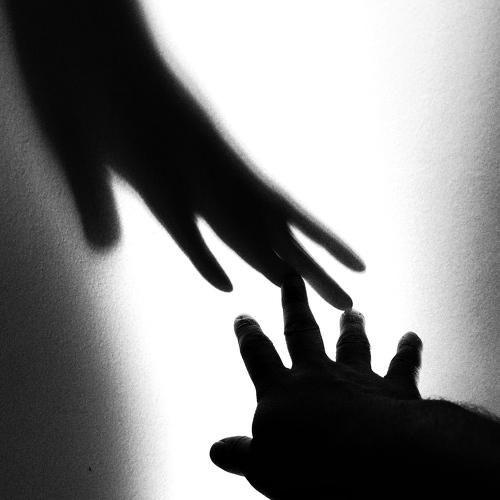 Photo #5159109