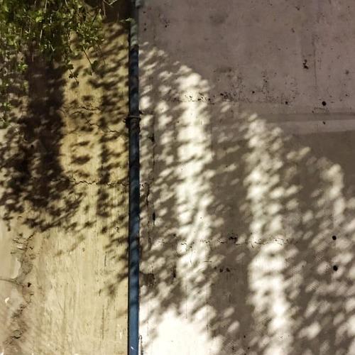 Photo #5159114