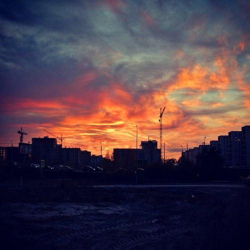 Photo #5159209