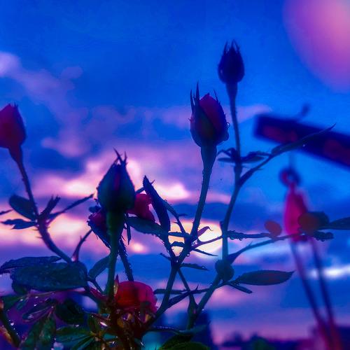 Photo #5159239