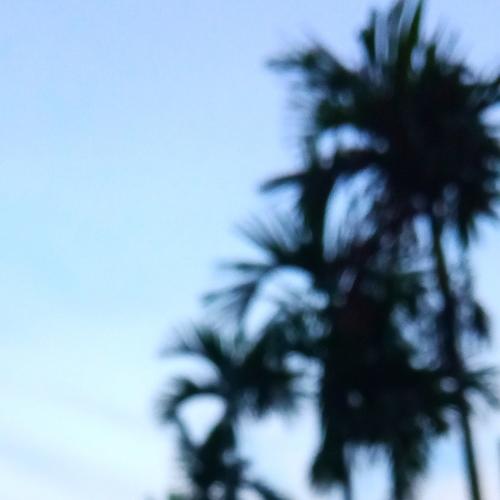 Photo #5159263