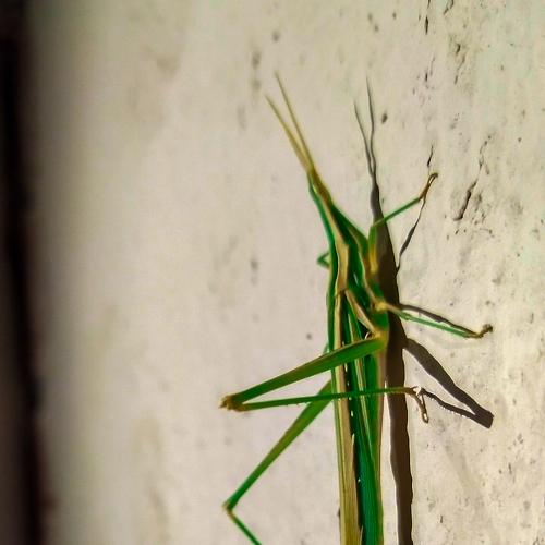 Photo #5159373