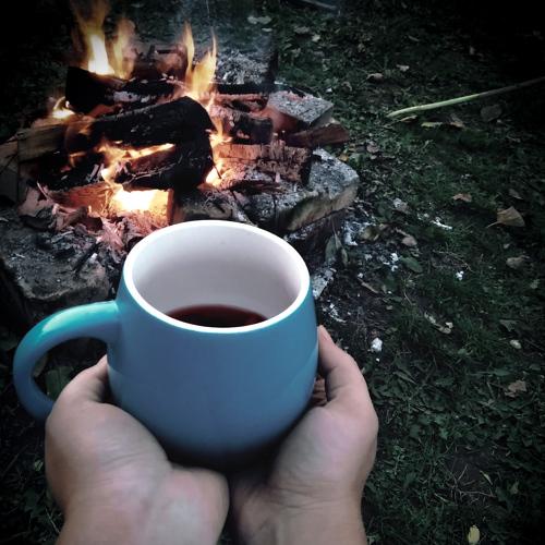 Photo #5159473