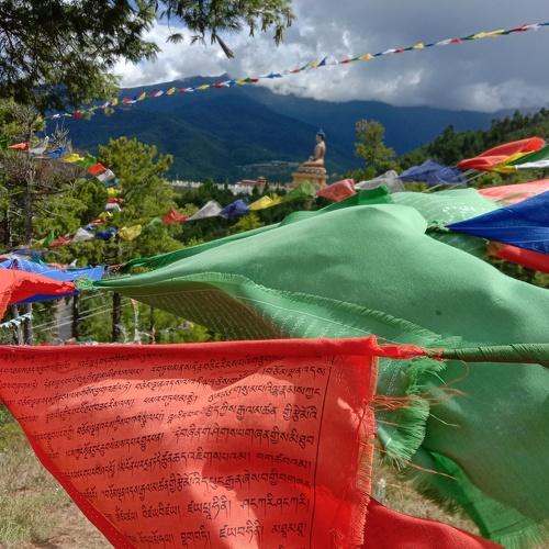 Photo #5159536