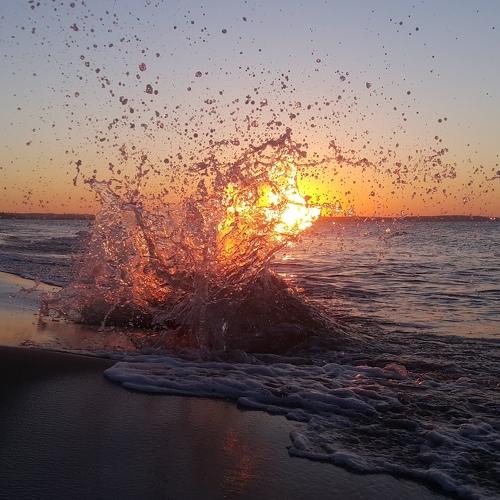 Photo #5160071