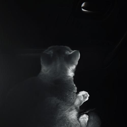 Photo #5160087