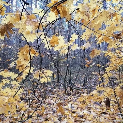 Photo #5160121