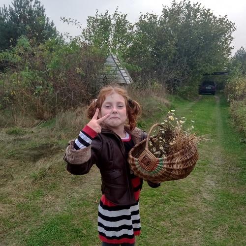 Photo #5160207