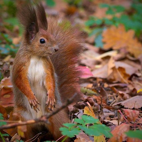 Photo #5160588