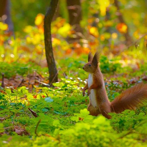 Photo #5160626
