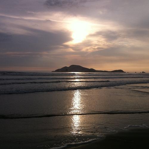 Photo #5161083