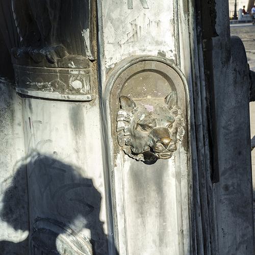 Photo #5161378