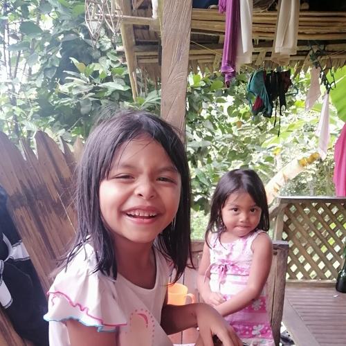 Photo #5161389