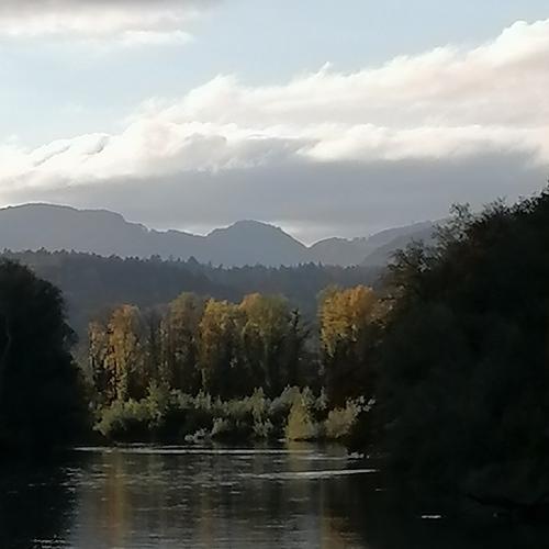 Photo #5161536