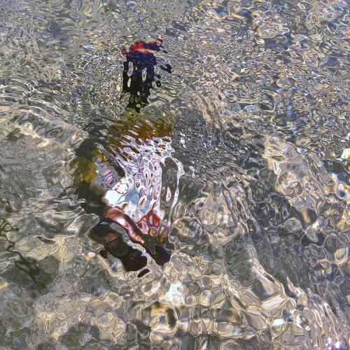 Photo #5161552