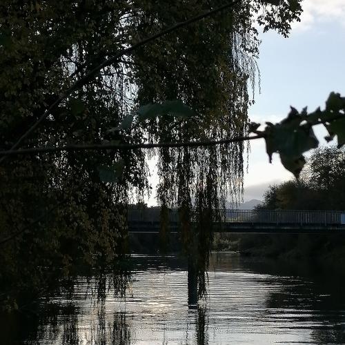 Photo #5161560