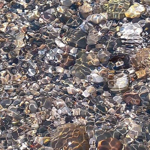 Photo #5161626